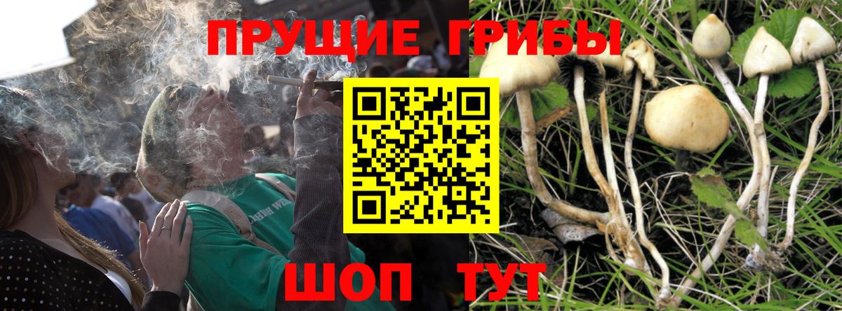 Галлюциногенные грибы Cubensis  Галлюциногенные грибы Psilocybine cubensis  что такое наркотик  Вход с VPN  Воркута 